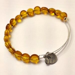 Alex And Ani Dark Topaz Luxe Shiny Silver Bracelet